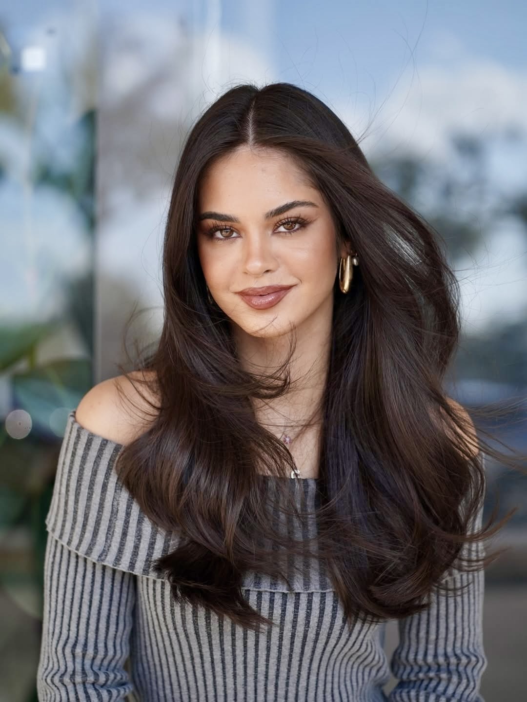 Rich Brunette Long Layers With Bouncy Blowout
