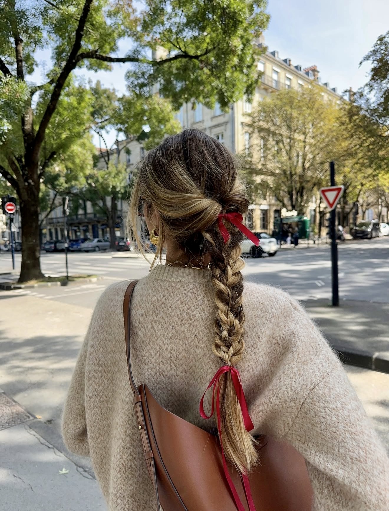 Chic Braided Hairstyle With Red Ribbon Accent