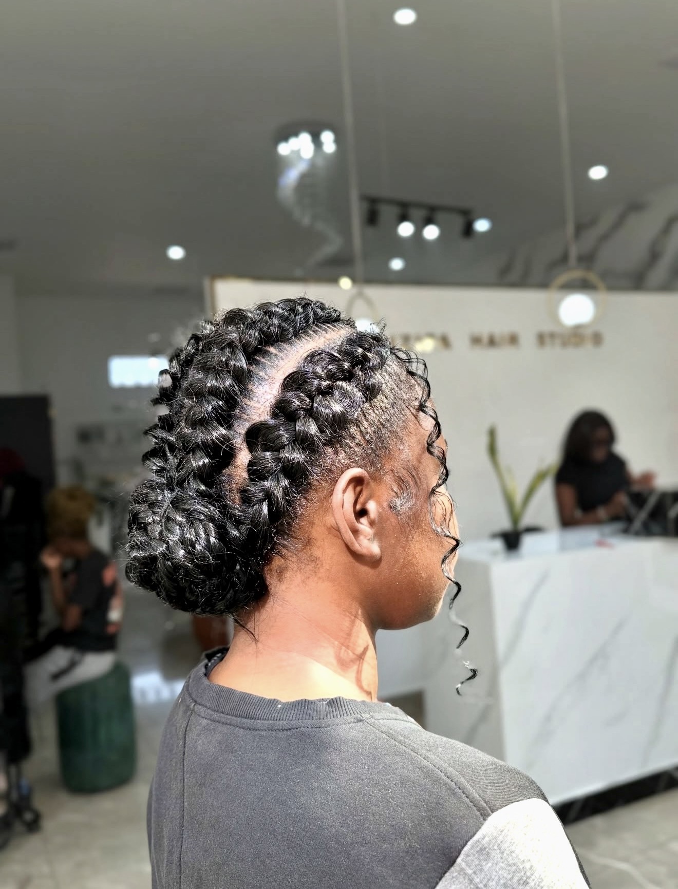 Chic Double Dutch Braids With Curly Tendrils