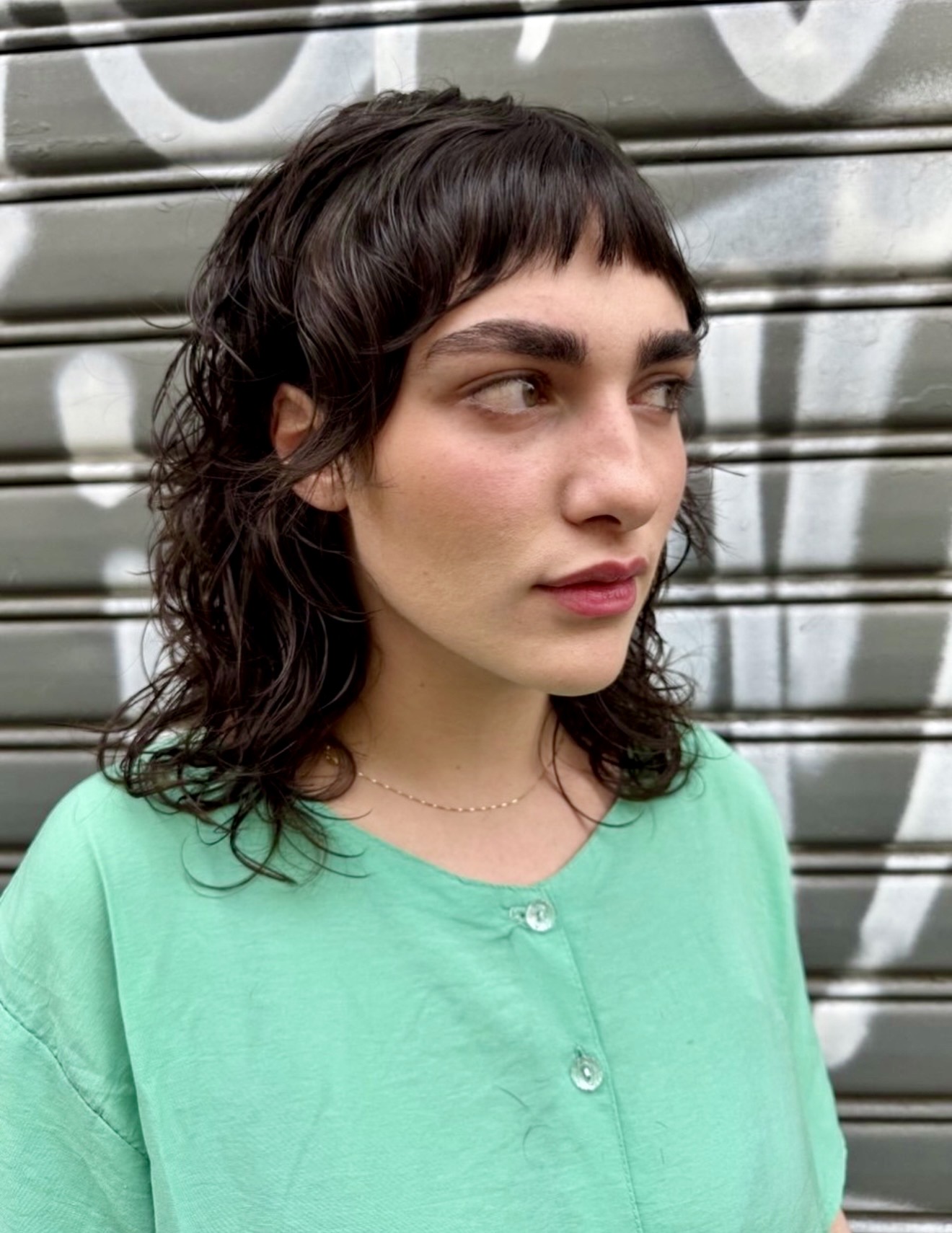 Dark Brown Wolf Cut With Modern Micro Bangs