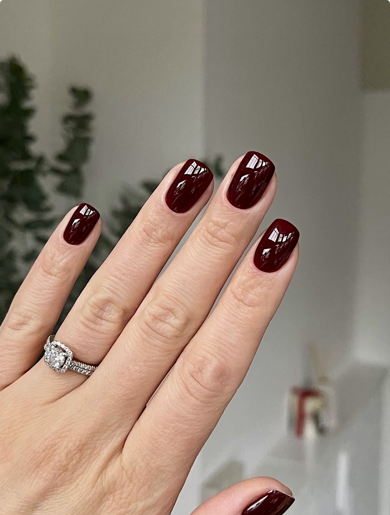 Deep Burgundy High Gloss Squoval Nails