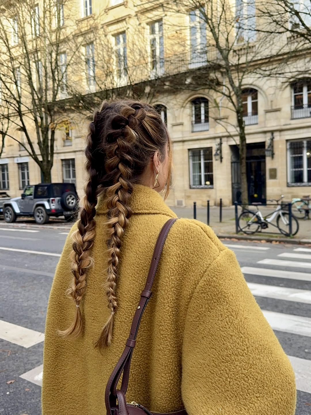 Double Dutch Braids With Honey Blonde Highlights