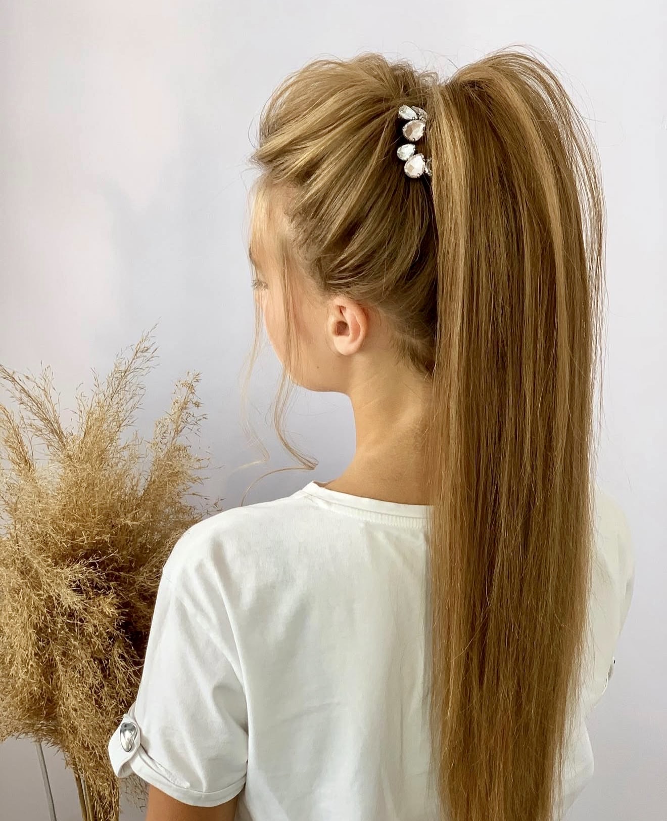 Sleek High Ponytail With Embellished Clip